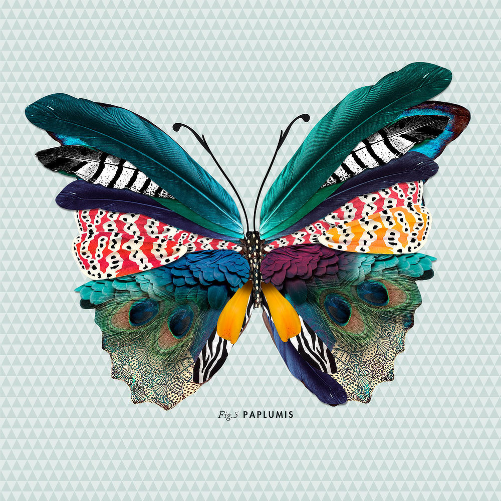 papillon